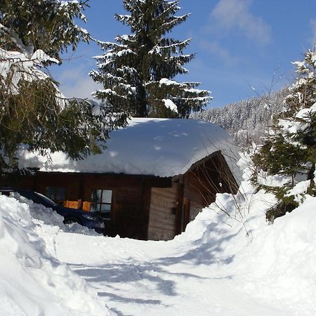 Chalets Ebner Eben Im Pongau Eksteriør billede